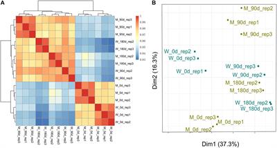 Comparative Transcriptome Analyses of Longissimus thoracis Between Pig Breeds Differing in Muscle Characteristics